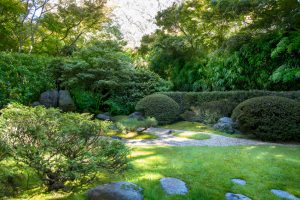 Garden with green grass flowers and garden house