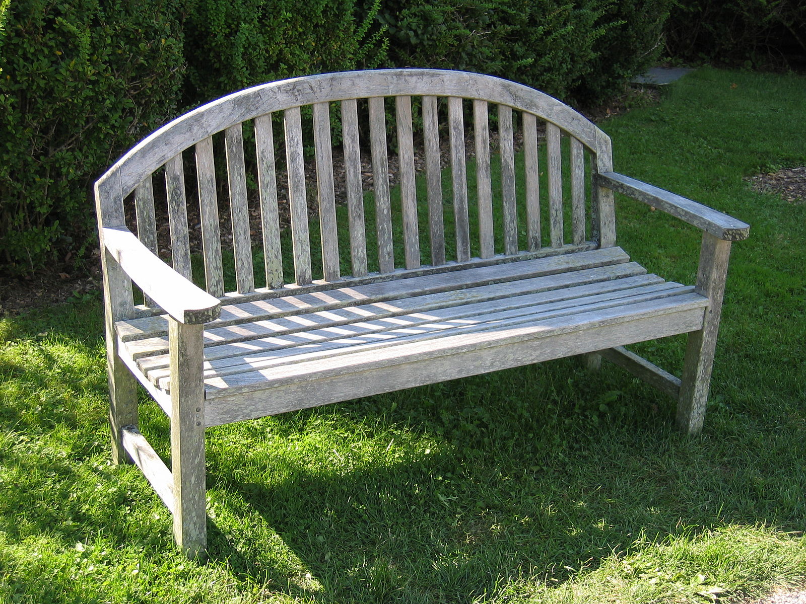 bench